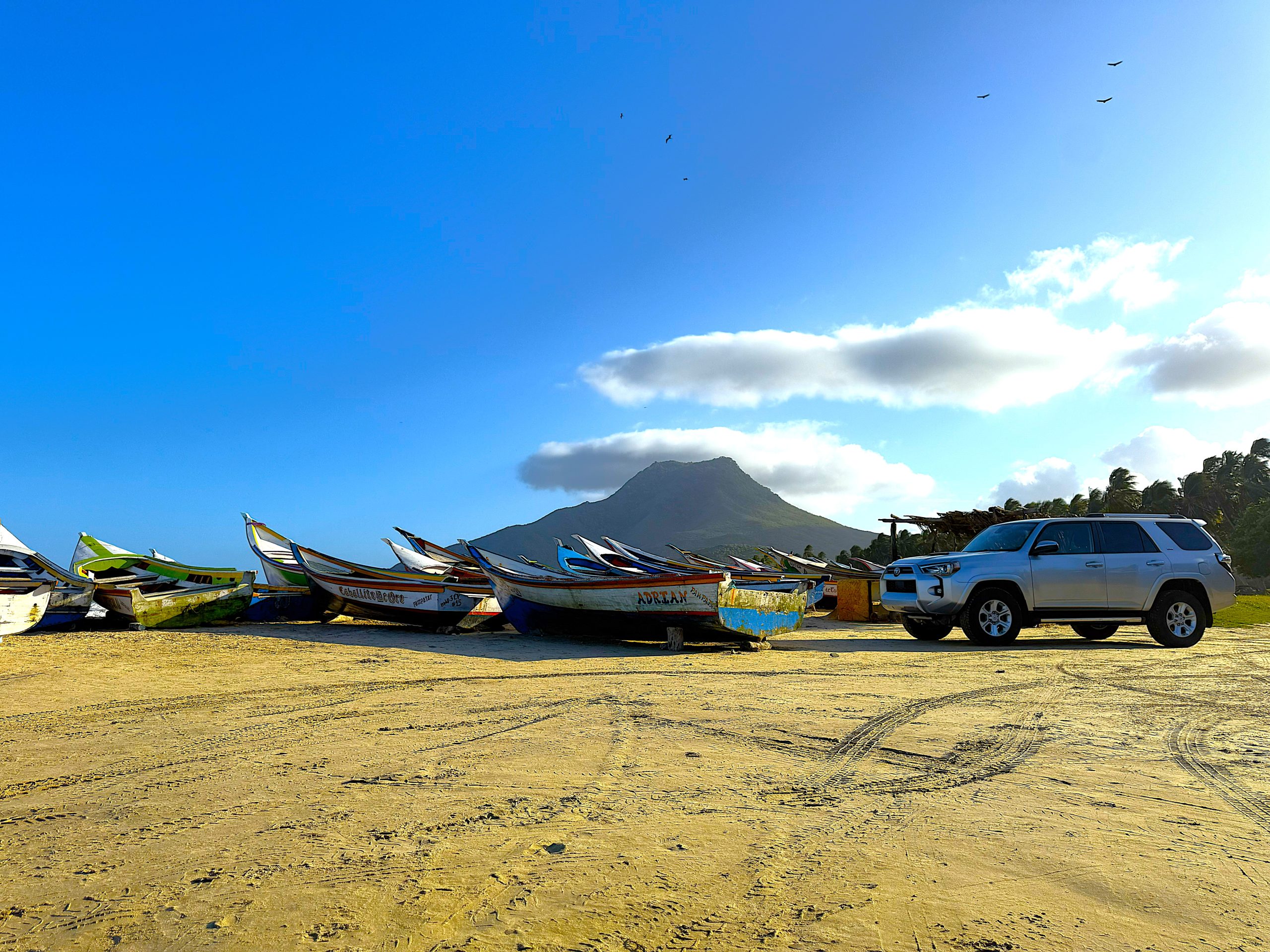 Rental and Sale Cars