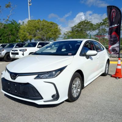 Imagen de WhatsApp 2025-11-04 a las 14.31.25_d8a1b90e