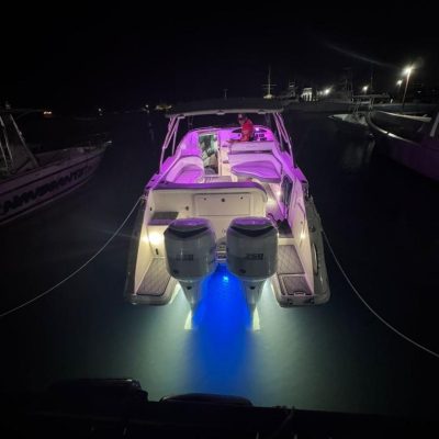 WhatsApp Image 2025-12-26 at 11.42.29 (1)