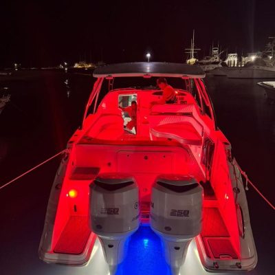 WhatsApp Image 2025-12-26 at 11.42.29